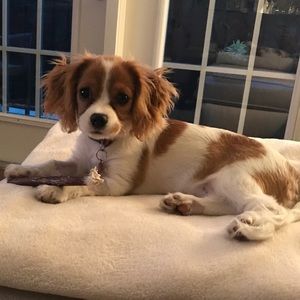 Meet your Posher, Denise